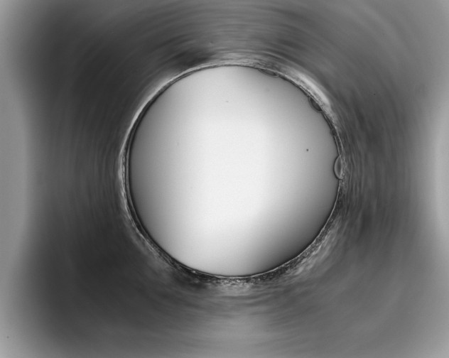 X0000094930907200711290958