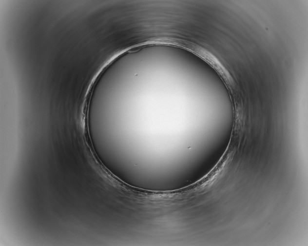 X0000094930908200711290958