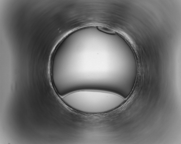 X0000094930910200711290958