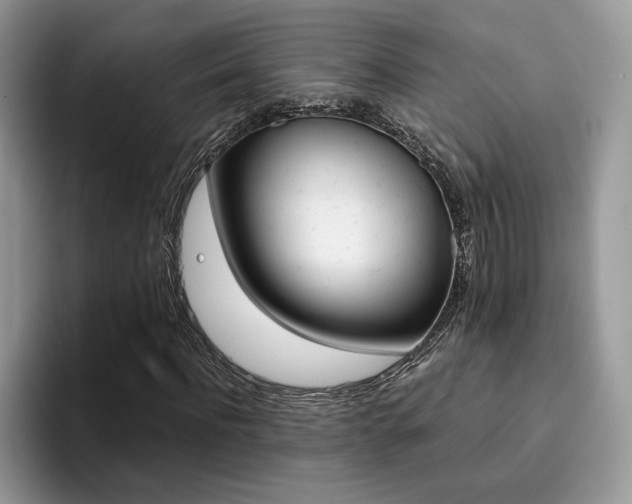 X0000094930916200711290958