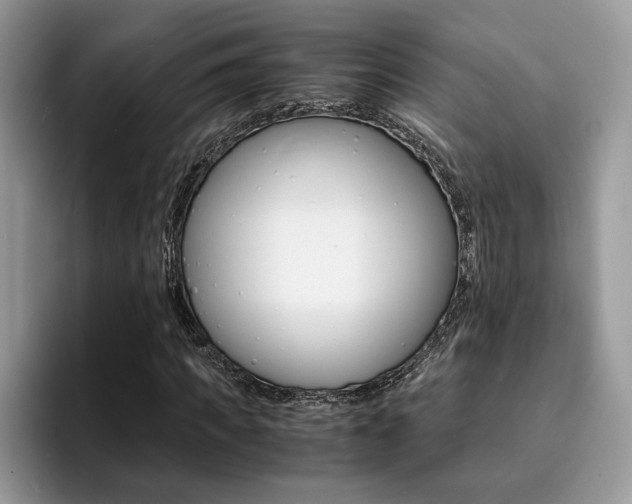 X0000094930917200711290958