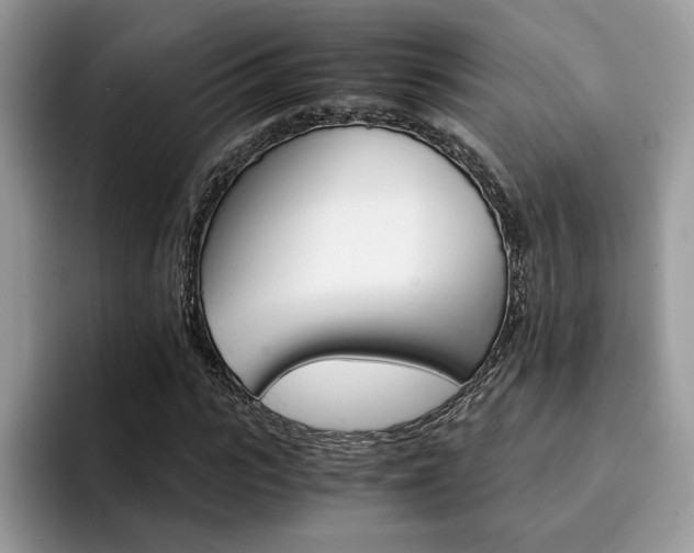 X0000094930919200711290958