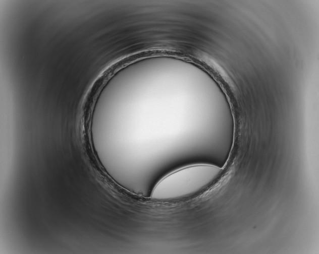 X0000094930923200711290958