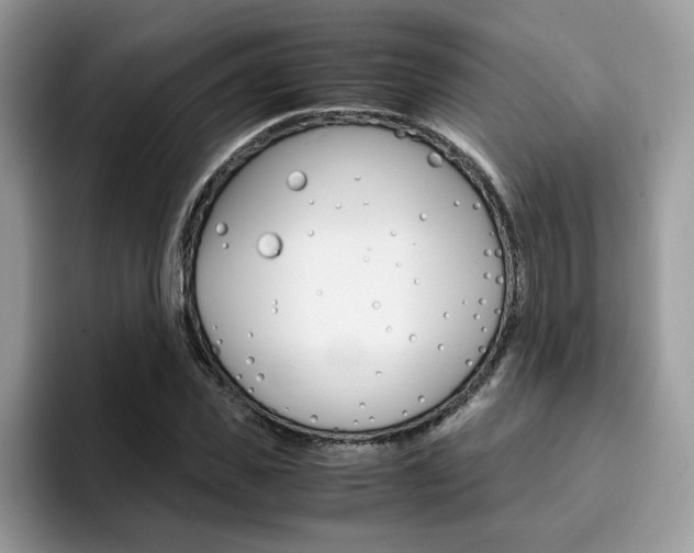 X0000094930925200711290958