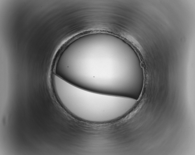 X0000094930928200711290958