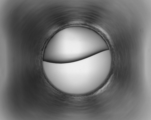 X0000094930929200711290958