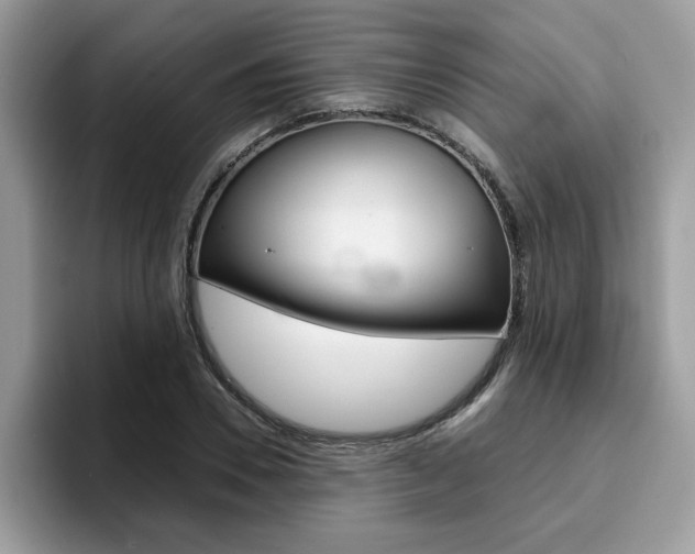 X0000094930930200711290958