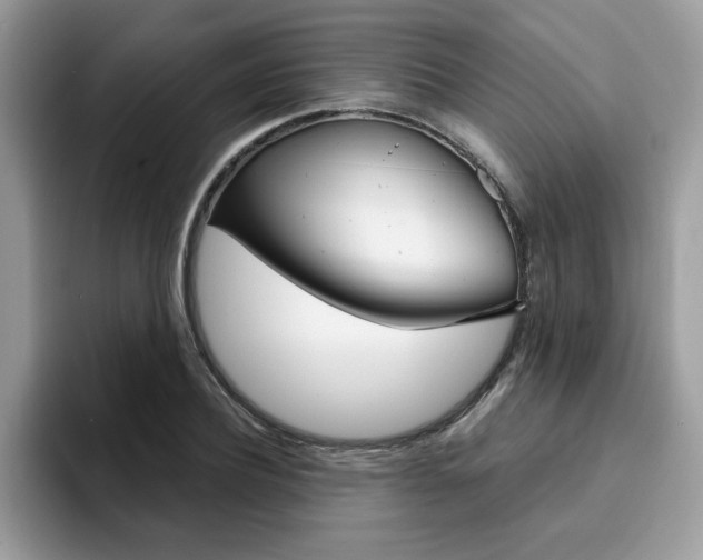 X0000094930932200711290958