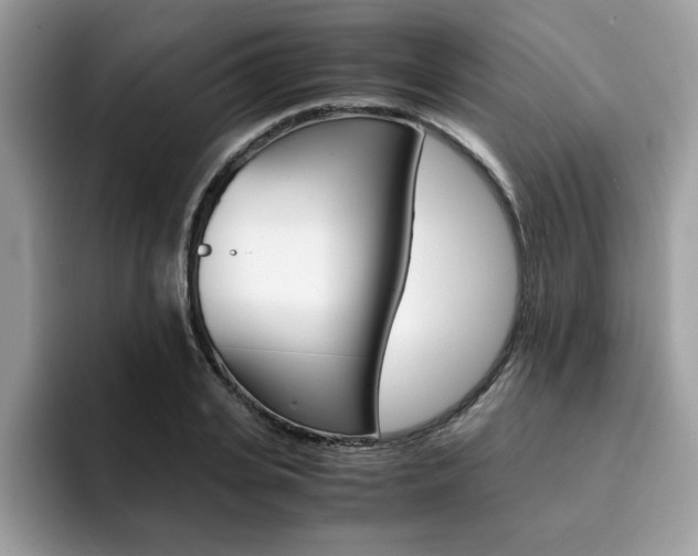 X0000094930935200711290958