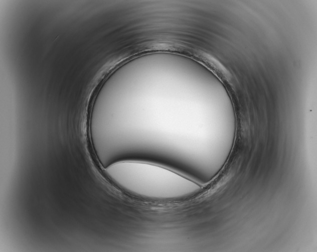 X0000094930938200711290958