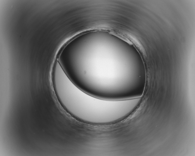 X0000094930944200711290958