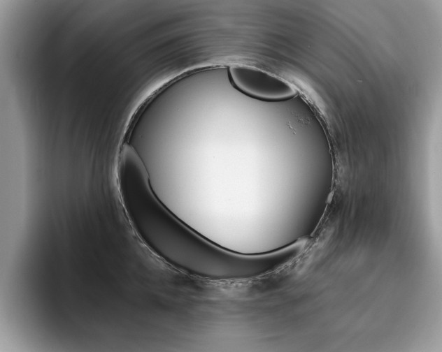 X0000094930952200711290958