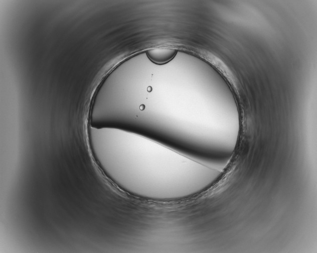 X0000094930954200711290958