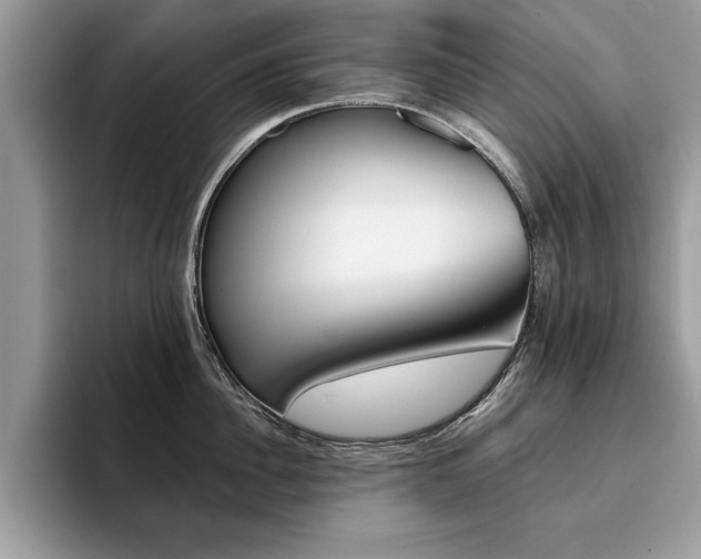 X0000094930956200711290958
