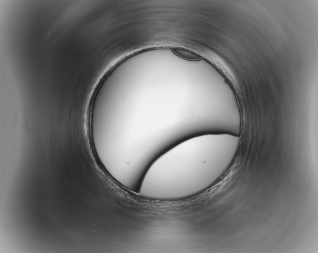 X0000094930958200711290958