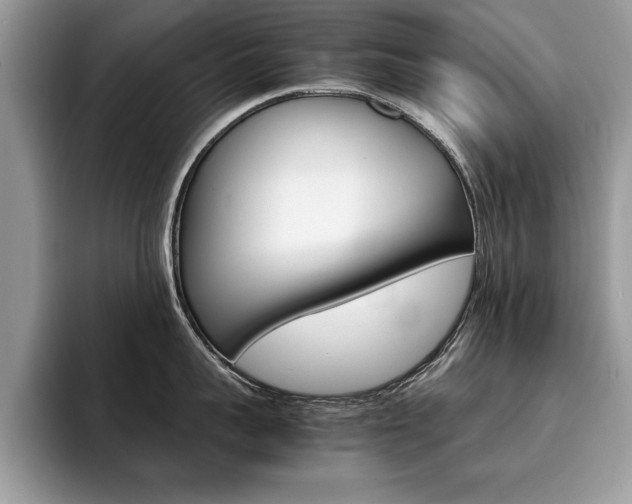 X0000094930959200711290958