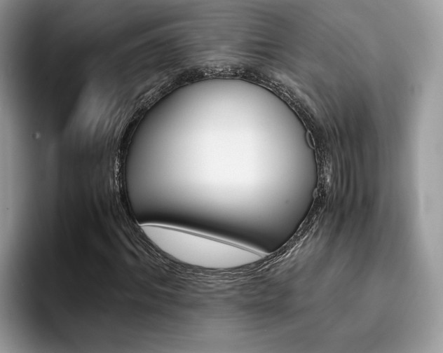 X0000094930964200711290958