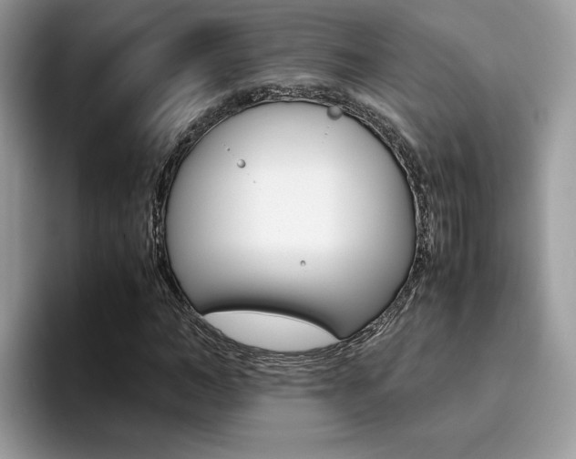 X0000094930966200711290958