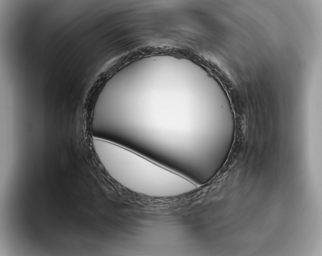 X0000094930968200711290958