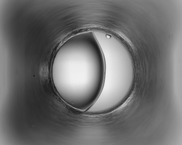 X0000094930969200711290958