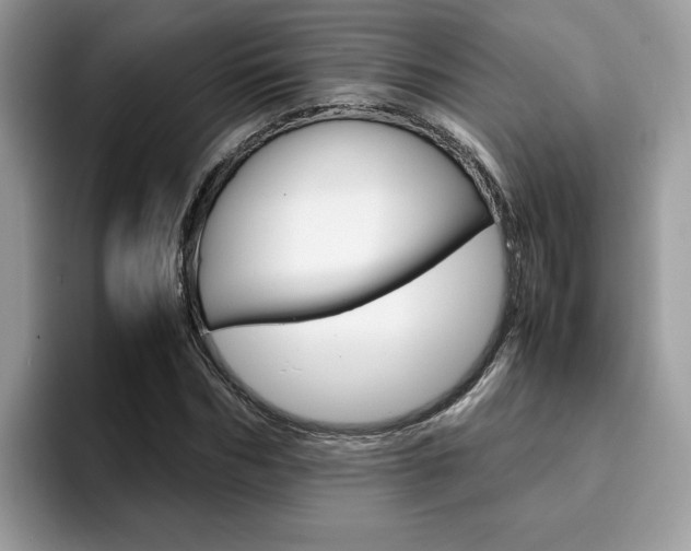 X0000094930970200711290958