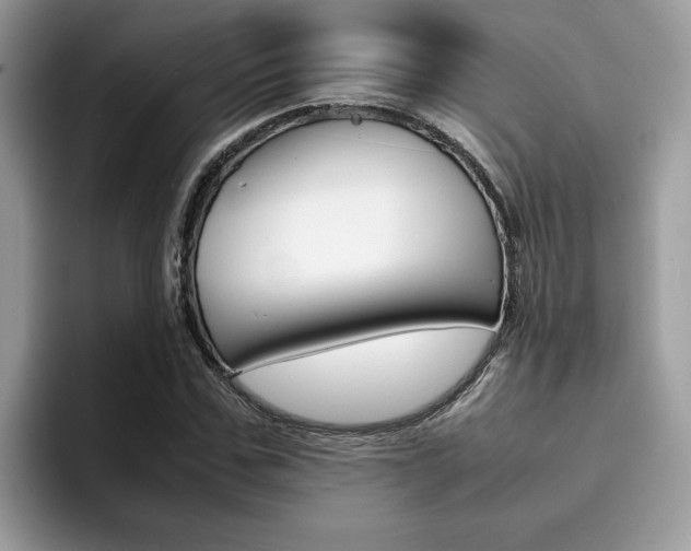 X0000094930971200711290958