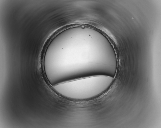 X0000094930972200711290958