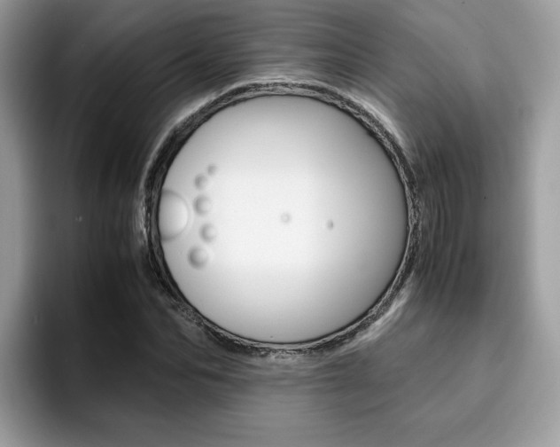 X0000094930974200711290958