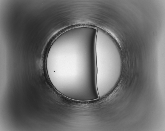 X0000094930975200711290958