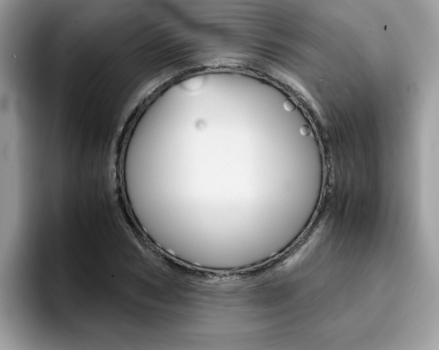 X0000094930978200711290957