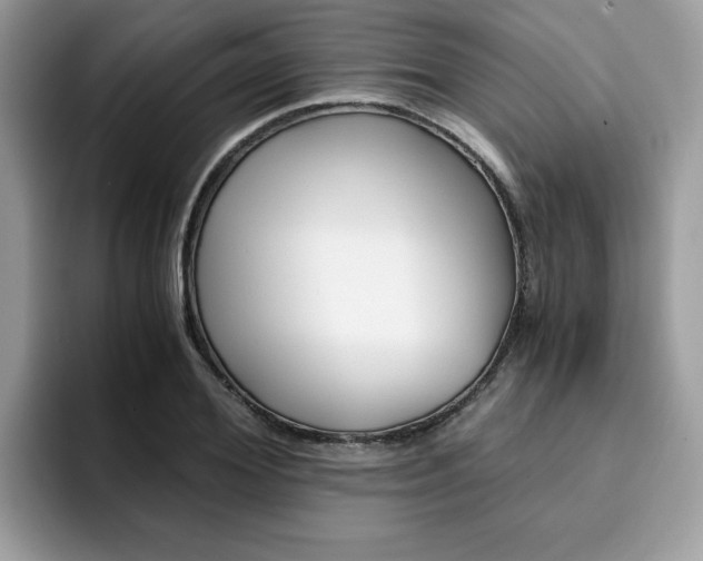 X0000094930980200711290957