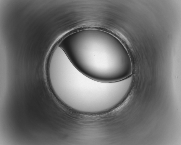 X0000094930981200711290957