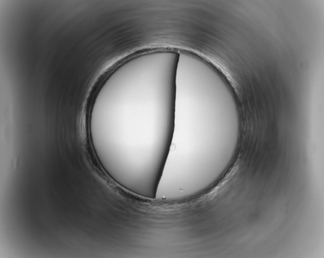 X0000094930982200711290957