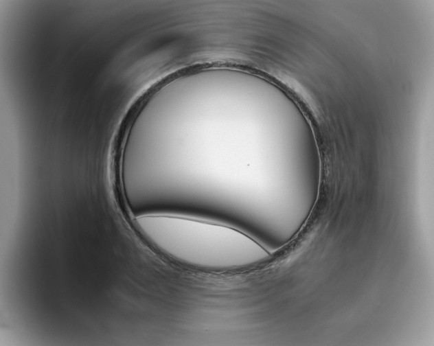 X0000094930983200711290957