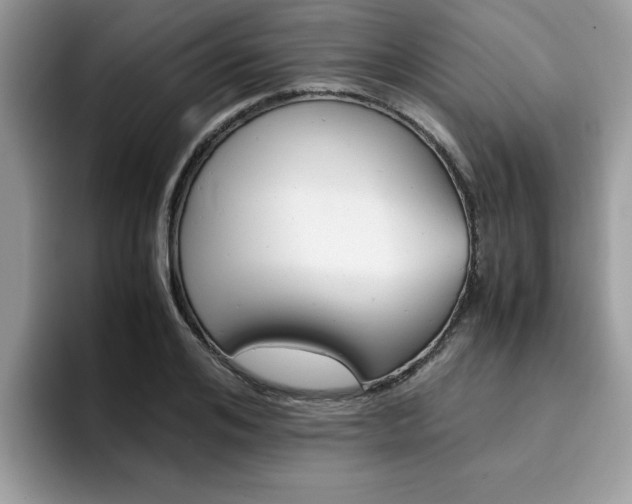 X0000094930984200711290957