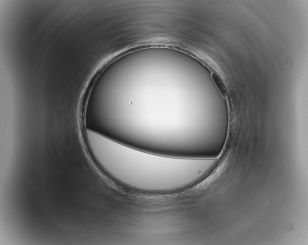 X0000094930989200711290957