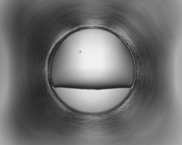 X0000094930990200711290957
