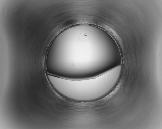 X0000094930993200711290957