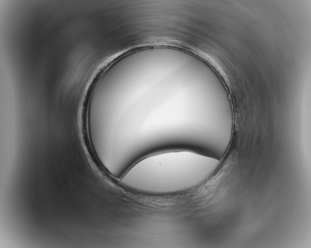 X0000094930995200711290957
