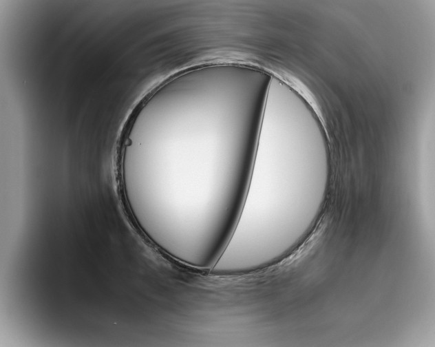 X0000094930997200711290957