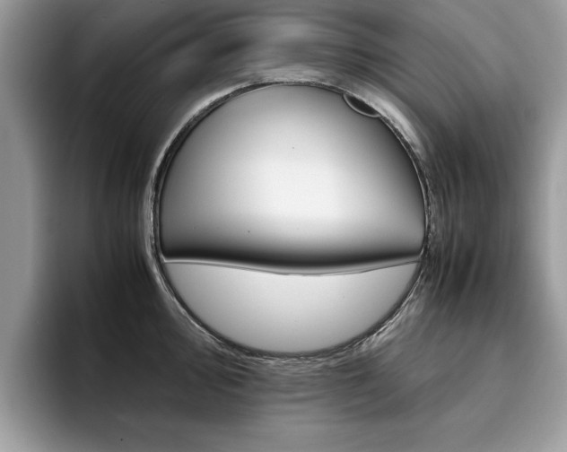 X0000094931000200711290957