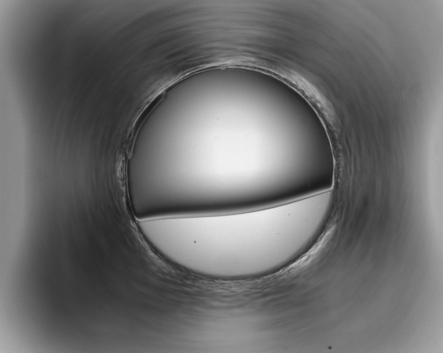 X0000094931001200711290957