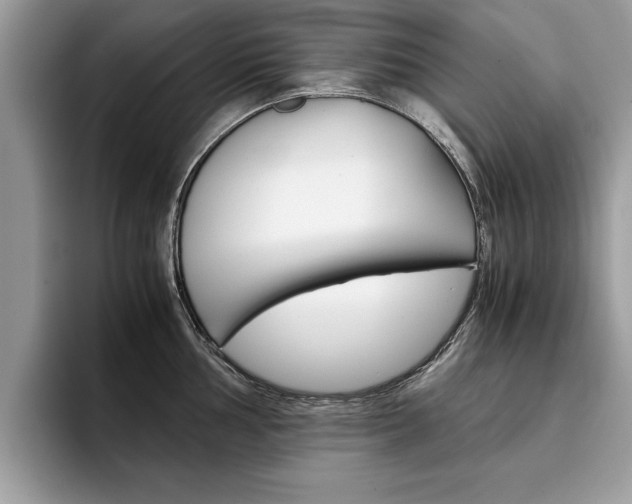 X0000094931002200711290957