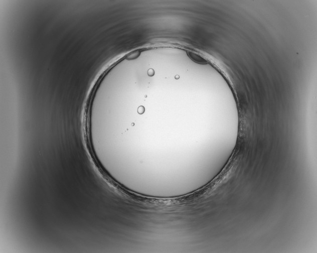 X0000094931003200711290957