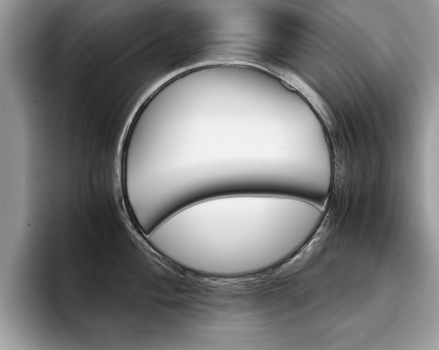 X0000094931004200711290957