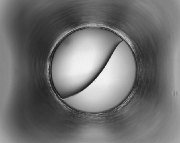 X0000094931006200711290957