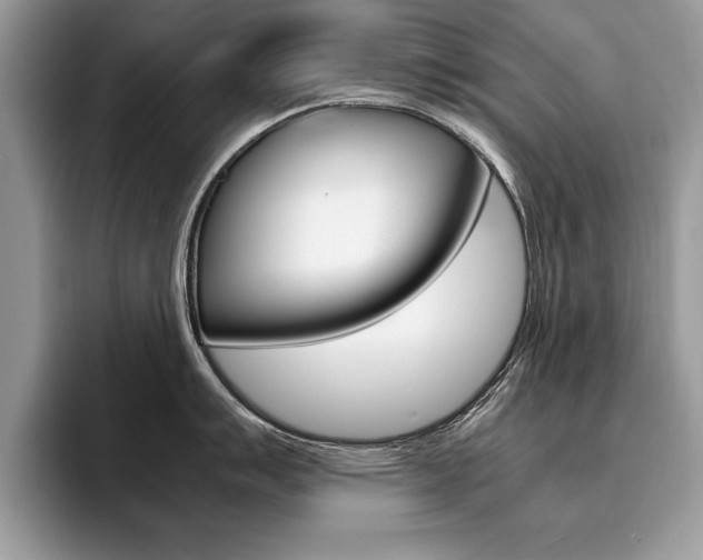 X0000094931007200711290957