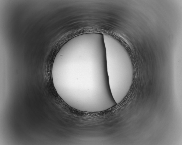 X0000094931015200711290957