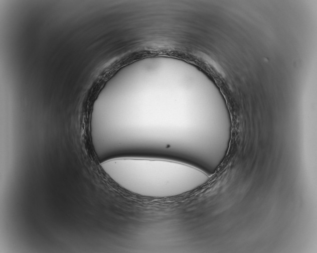 X0000094931016200711290957