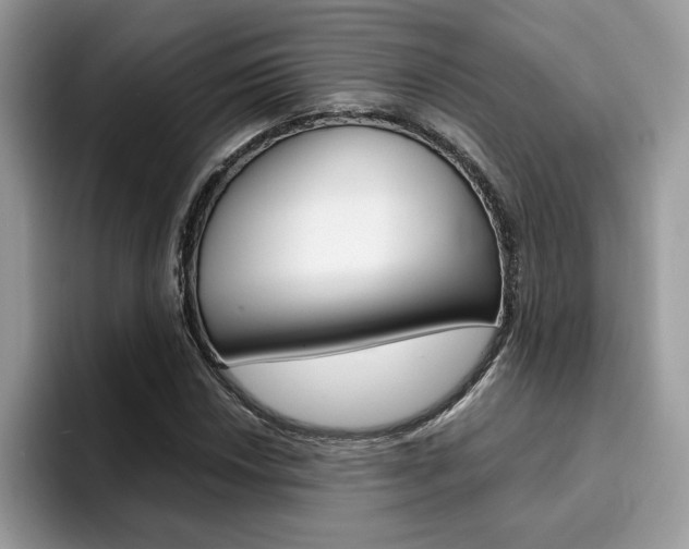 X0000094931018200711290957